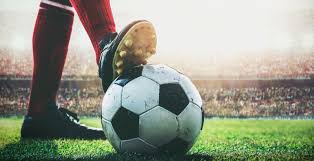 也参与其中 也参与其中