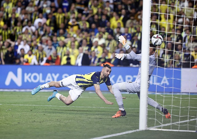 他们为何能 他们为何能