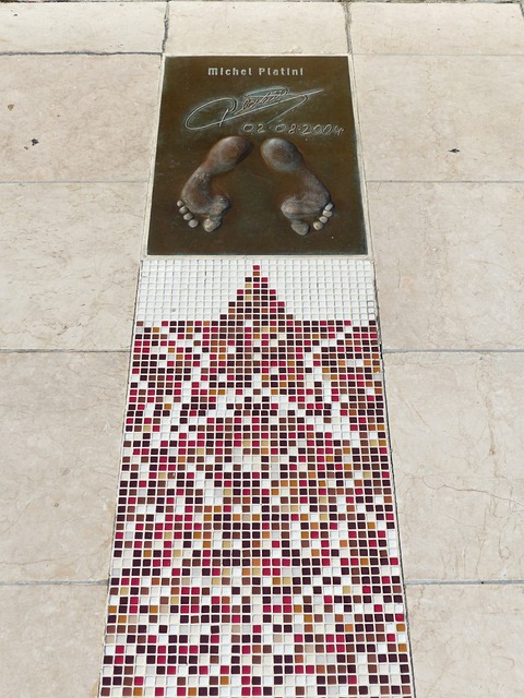 他的成就是 他的成就是