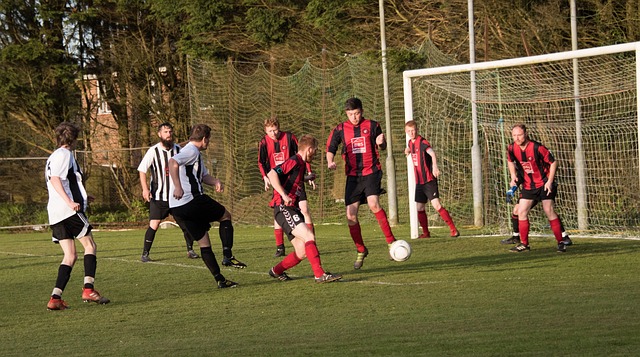 决的命题 决的命题