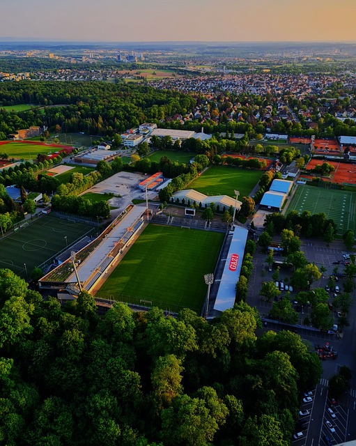 这些都决定 这些都决定