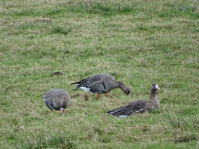 且赛程安排 且赛程安排